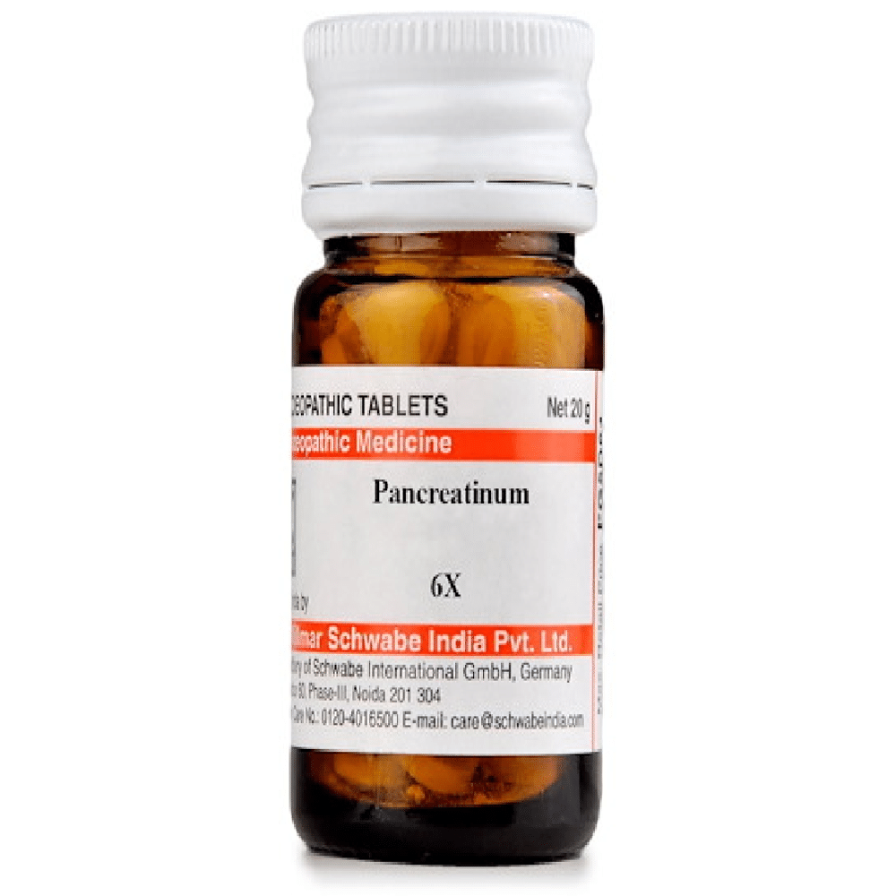 Dr Willmar Schwabe India Pancreatinum Trituration Tablet 6X Dr Willmar Schwabe India Pancreatinum Trituration Tablet 6X