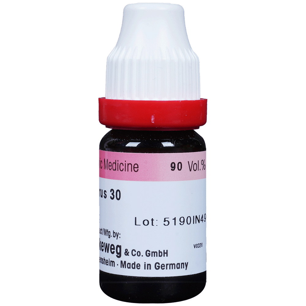 Dr. Reckeweg Phosphorus Dilution 30 CH Dr. Reckeweg Phosphorus Dilution 30 CH