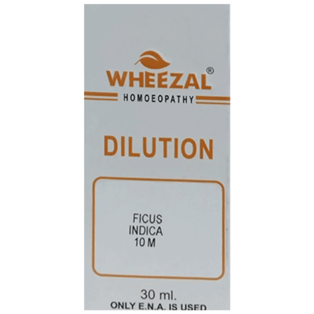Wheezal Ficus Indica Dilution 10M Wheezal Ficus Indica Dilution 10M