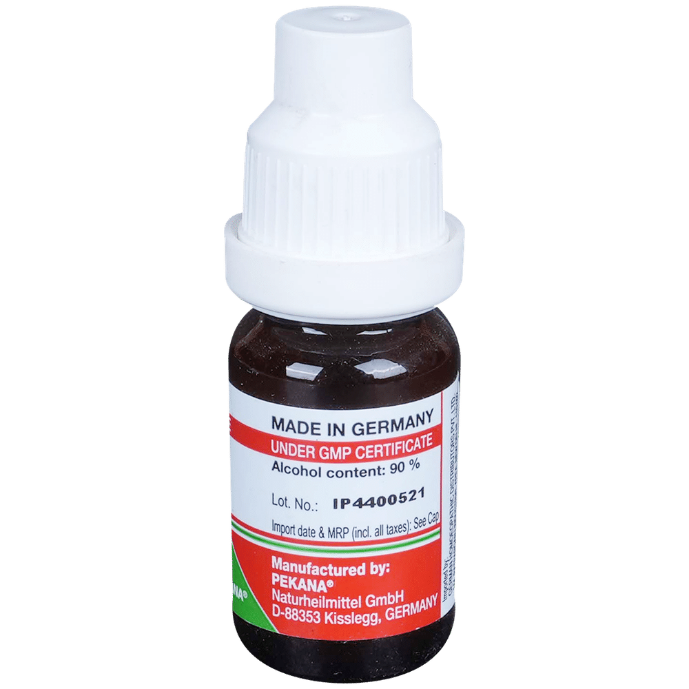 ADEL Carbo Veg Dilution 200 ADEL Carbo Veg Dilution 200