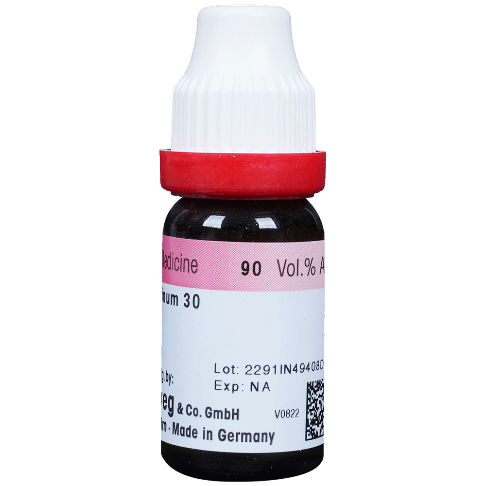 Dr. Reckeweg Caladium Seg Dilution 30 CH Dr. Reckeweg Caladium Seg Dilution 30 CH