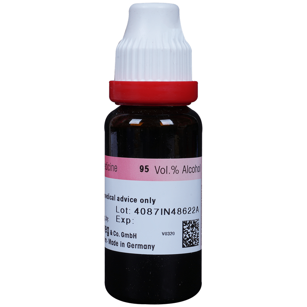 Dr. Reckeweg Jaborandi Mother Tincture Q Dr. Reckeweg Jaborandi Mother Tincture Q