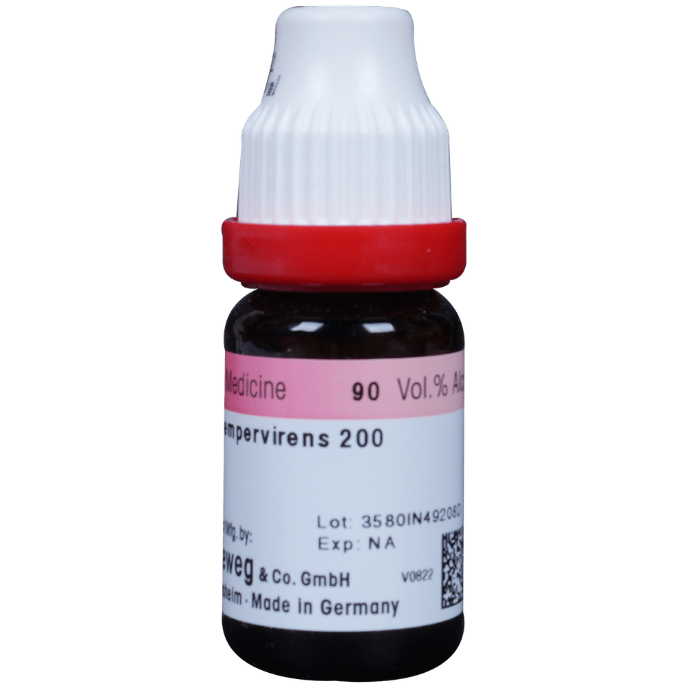 Dr. Reckeweg Gelsemium Sempervirens Dilution 200 CH Dr. Reckeweg Gelsemium Sempervirens Dilution 200 CH