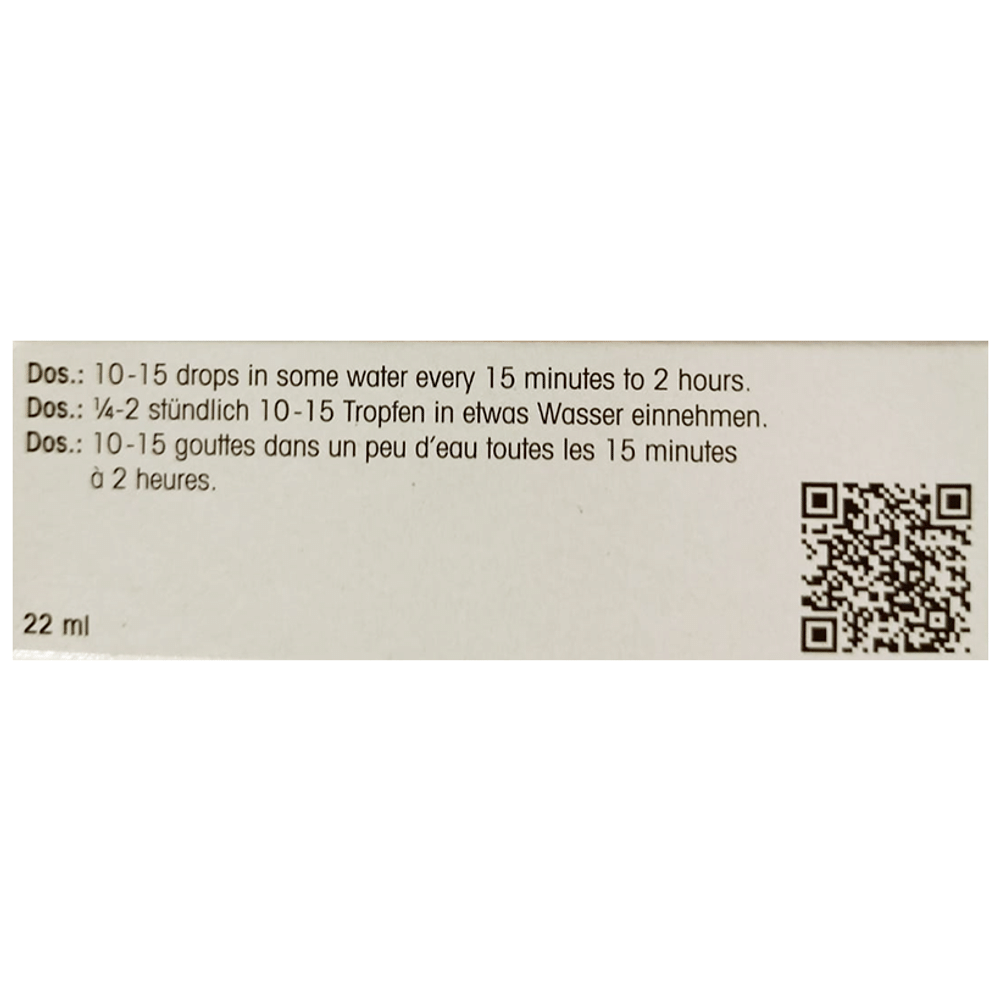 Dr. Reckeweg R6 Influenza Drop Oral Drops