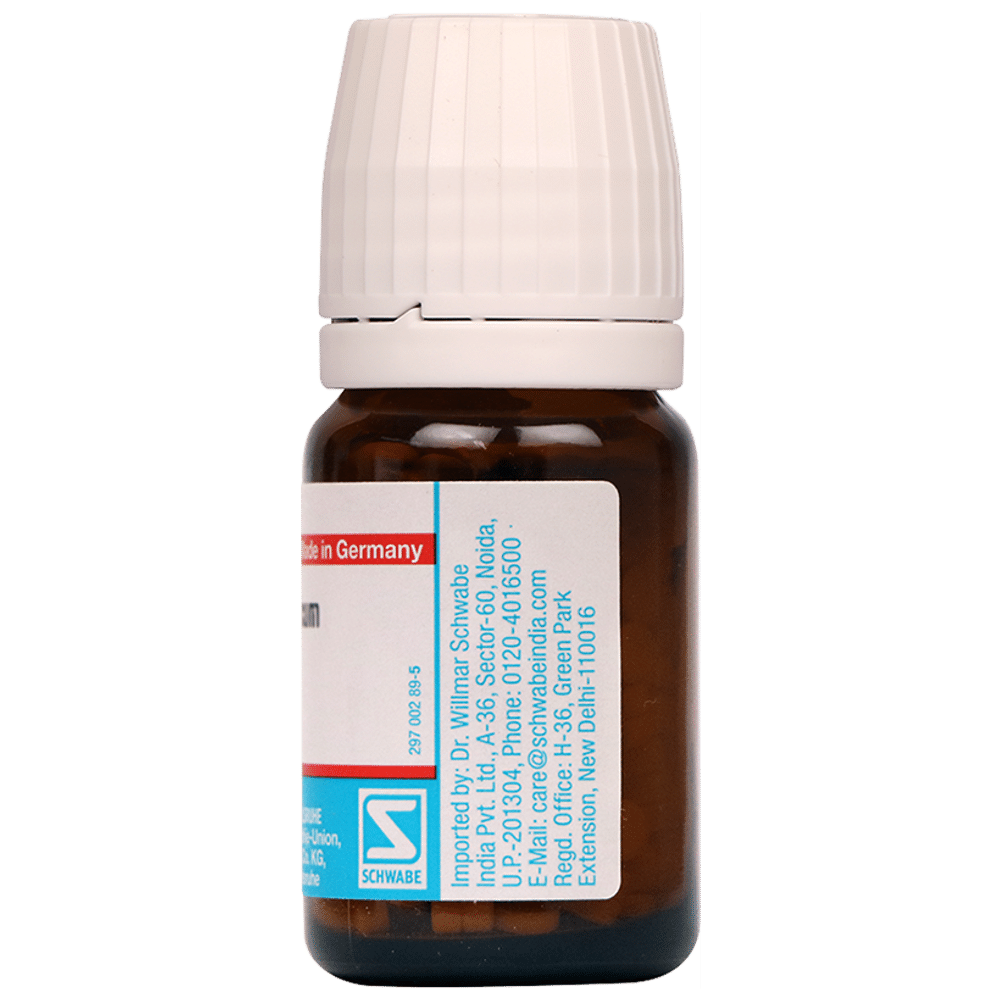 Dr Willmar Schwabe Germany Natrum Phosphoricum Biochemic Tablet 6X