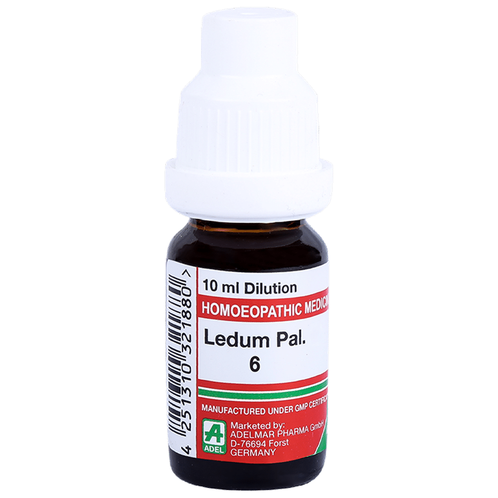 ADEL Ledum Pal. Dilution 6 ADEL Ledum Pal. Dilution 6