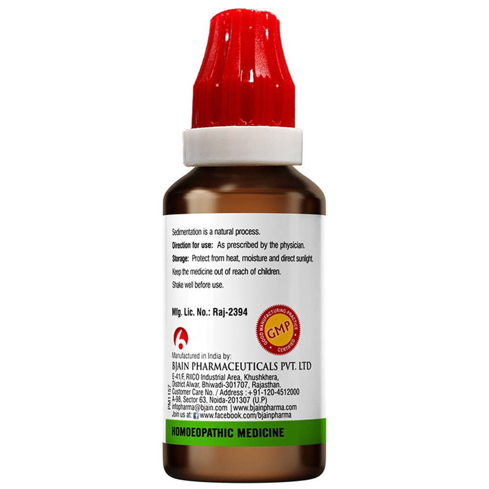 Bjain Abroma Radix Mother Tincture Q Bjain Abroma Radix Mother Tincture Q
