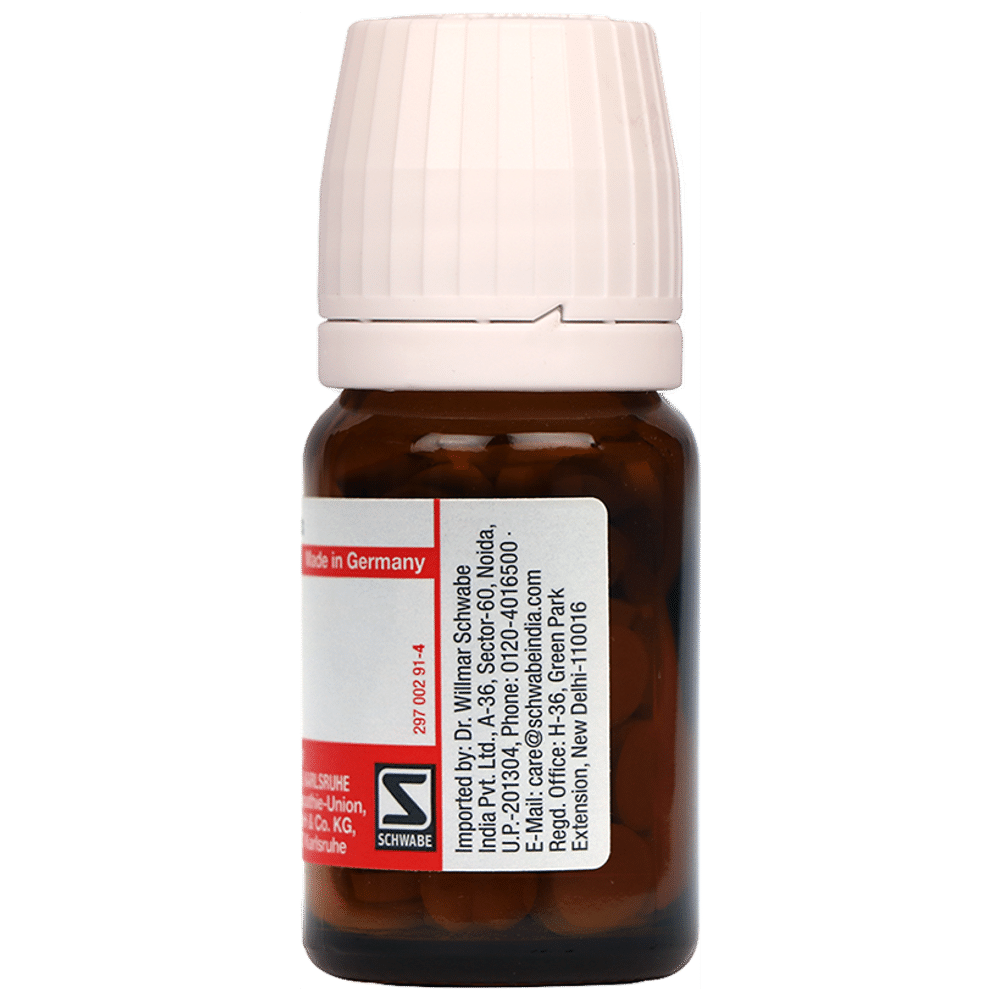 Dr Willmar Schwabe Germany Selenium Tablet 3X Dr Willmar Schwabe Germany Selenium Tablet 3X