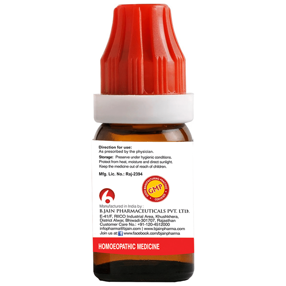 Bjain Gymnema Sylvestre Dilution 12 CH Bjain Gymnema Sylvestre Dilution 12 CH