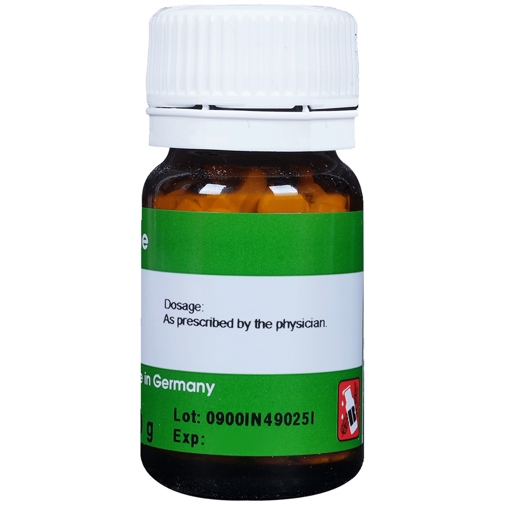 Dr. Reckeweg Insulinum Trituration Tablet 10X Dr. Reckeweg Insulinum Trituration Tablet 10X