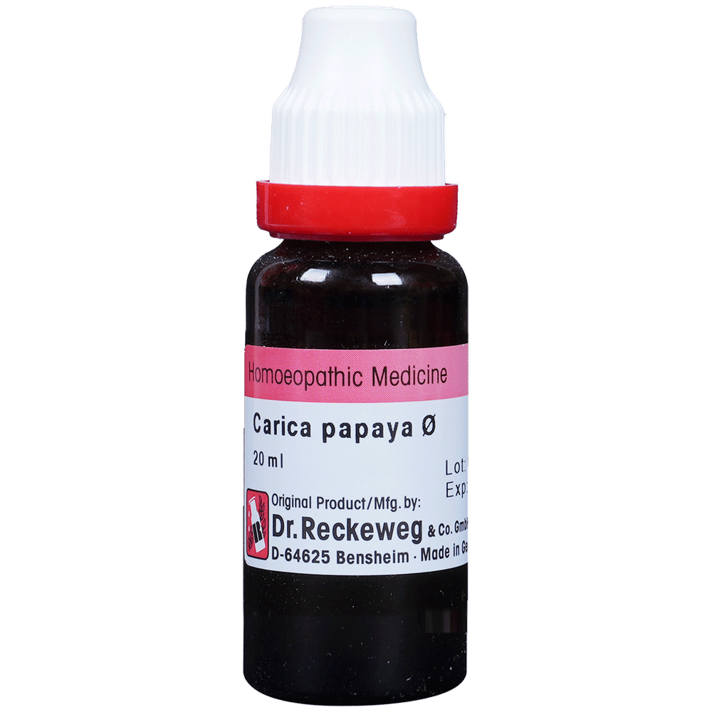 Dr. Reckeweg Carica Papaya Mother Tincture Q 