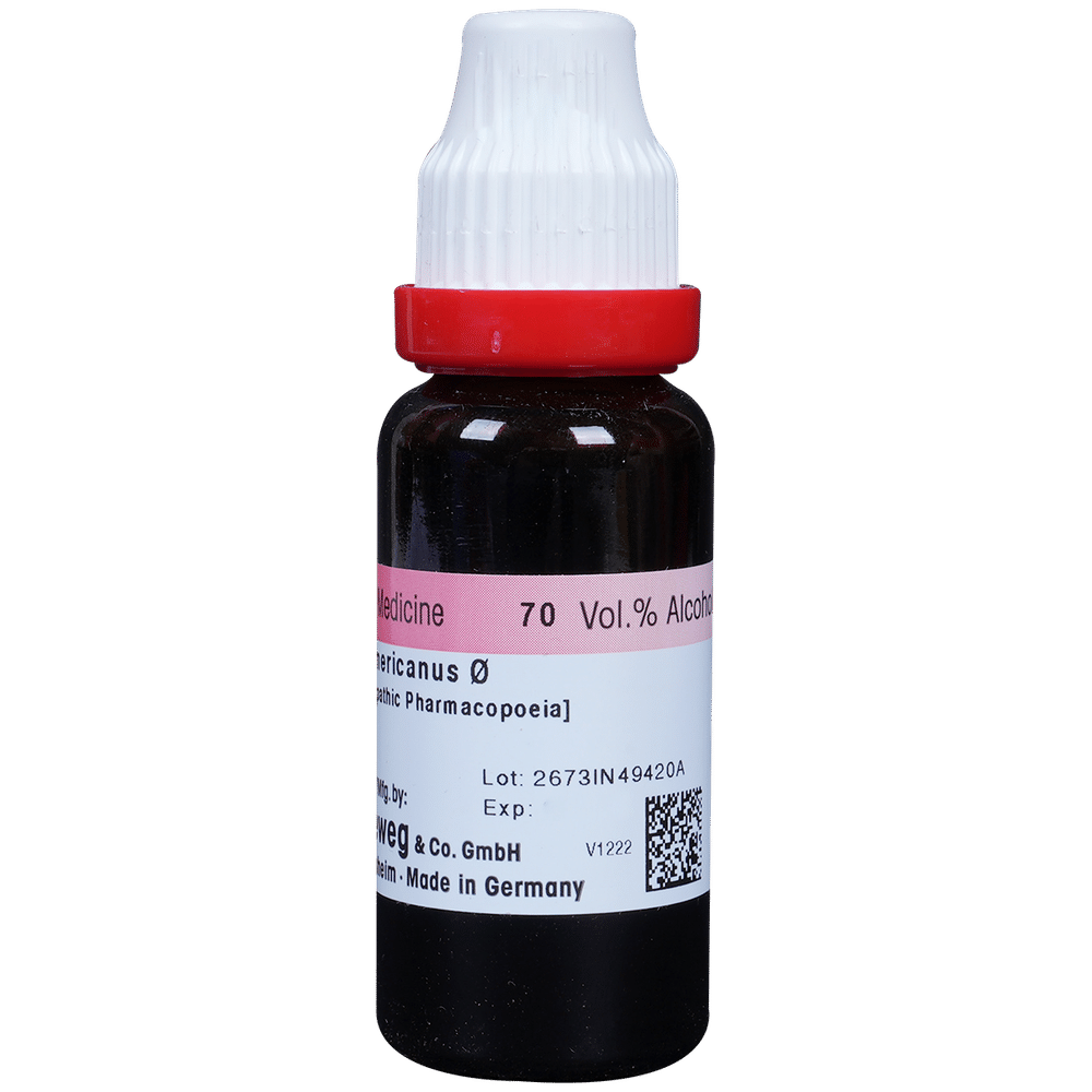 Dr. Reckeweg Ceanothus A Mother Tincture Q Dr. Reckeweg Ceanothus A Mother Tincture Q
