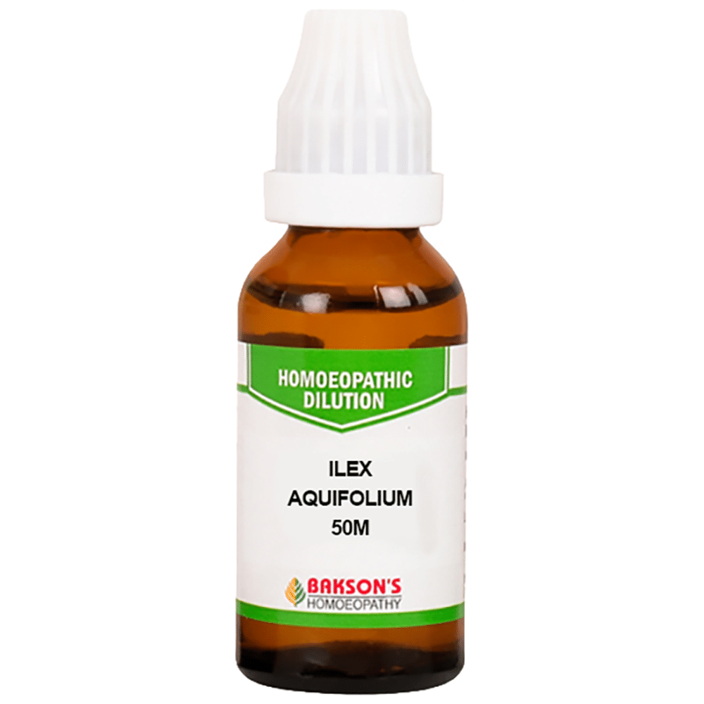 Bakson's Homeopathy Ilex Aquifolium Dilution 50M Bakson's Homeopathy Ilex Aquifolium Dilution 50M