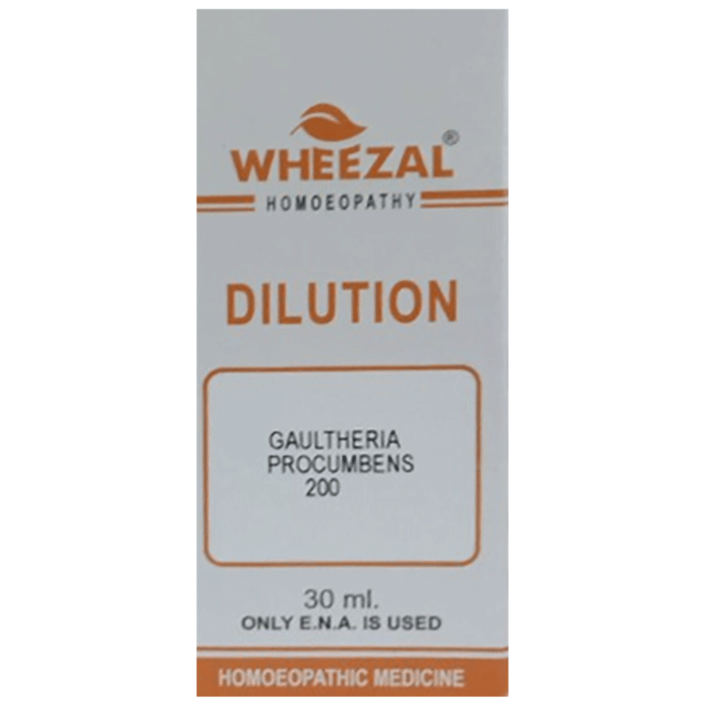 Wheezal Gaultheria Procumbens Dilution 200 Wheezal Gaultheria Procumbens Dilution 200