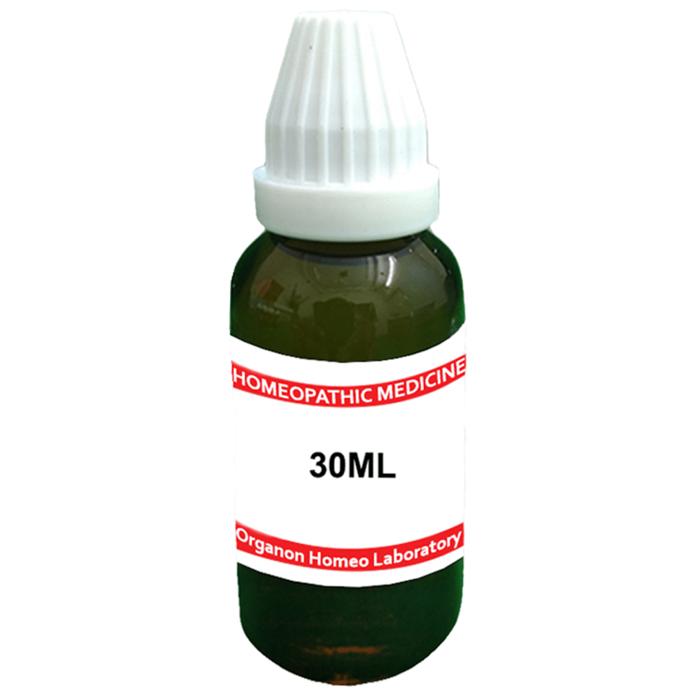 Organon Arnica Mon Dilution 6 Organon Arnica Mon Dilution 6