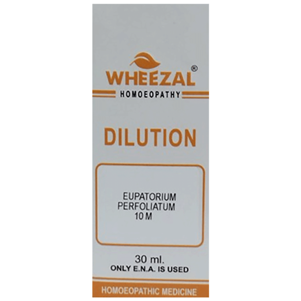 Wheezal Eupatorium Perfoliatum Dilution 10M Wheezal Eupatorium Perfoliatum Dilution 10M
