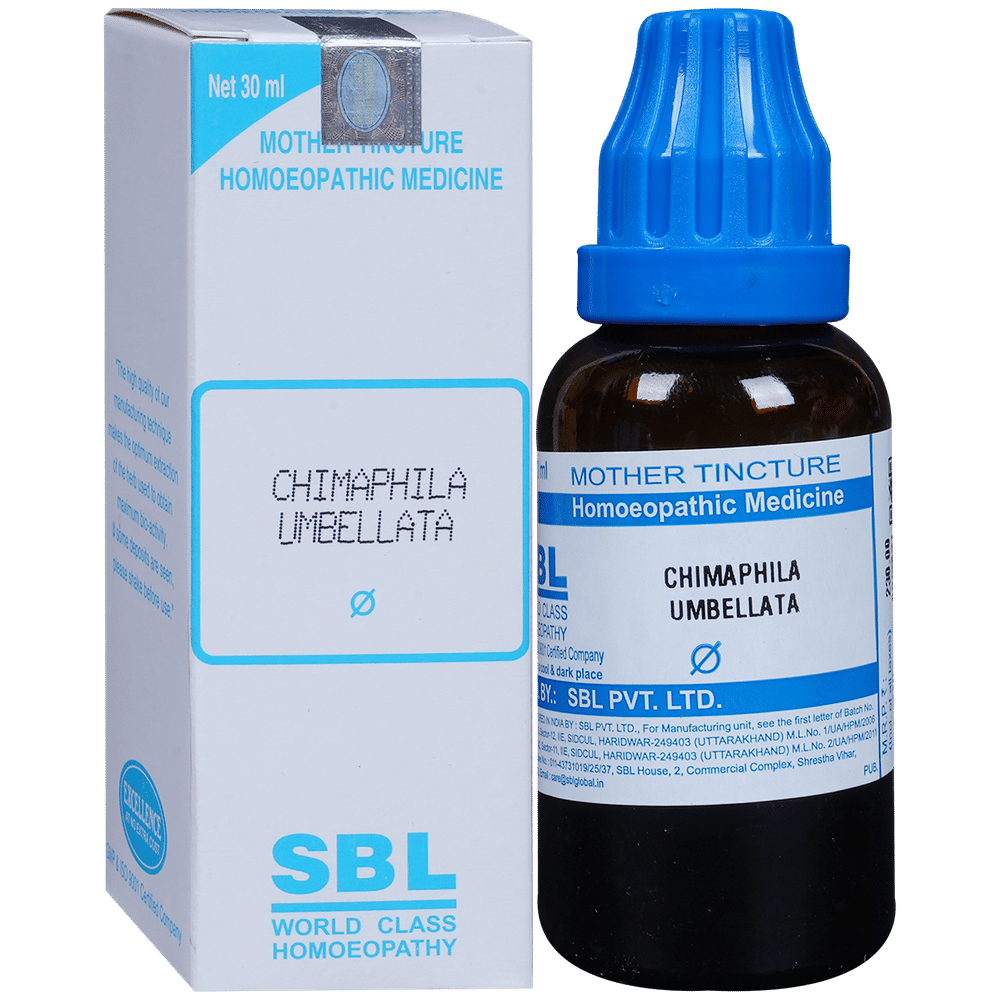 SBL Chimaphila Umbellata Mother Tincture Q