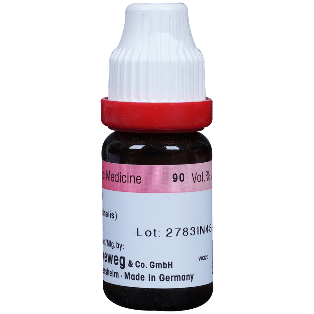 Dr. Reckeweg China Dilution 200 CH Dr. Reckeweg China Dilution 200 CH