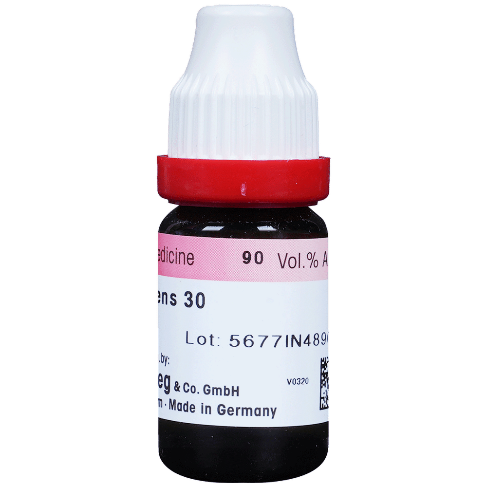 Dr. Reckeweg Ruta Graveolens Dilution 30 CH Dr. Reckeweg Ruta Graveolens Dilution 30 CH