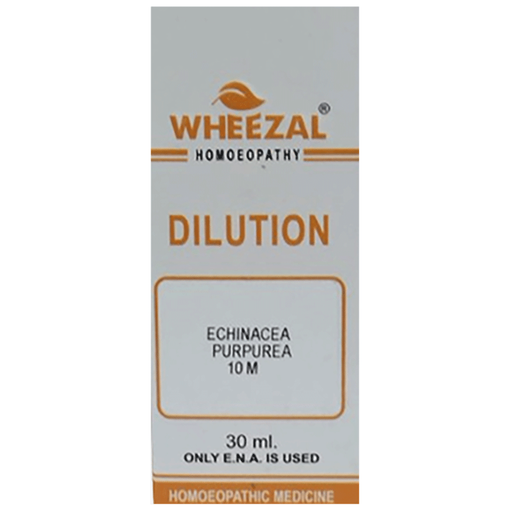 Wheezal Echinacea Purpurea Dilution 10M Wheezal Echinacea Purpurea Dilution 10M
