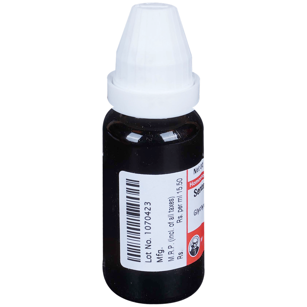 Dr Willmar Schwabe Germany Serum Anguillae Dilution 6X Dr Willmar Schwabe Germany Serum Anguillae Dilution 6X