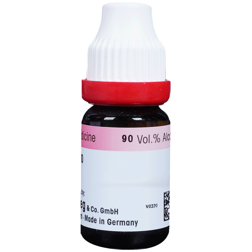 Dr. Reckeweg Belladonna Dilution 30 CH Dr. Reckeweg Belladonna Dilution 30 CH