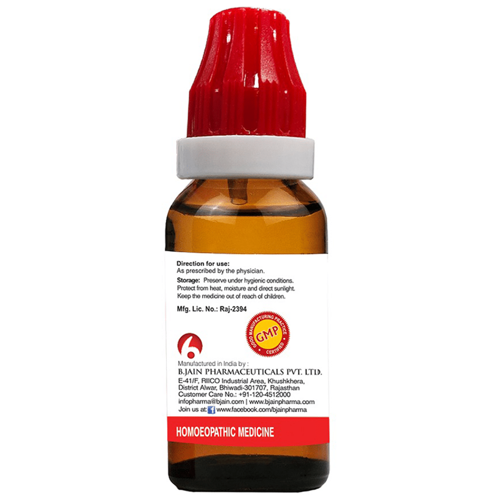 Bjain Abies Nigra Dilution 6X Bjain Abies Nigra Dilution 6X