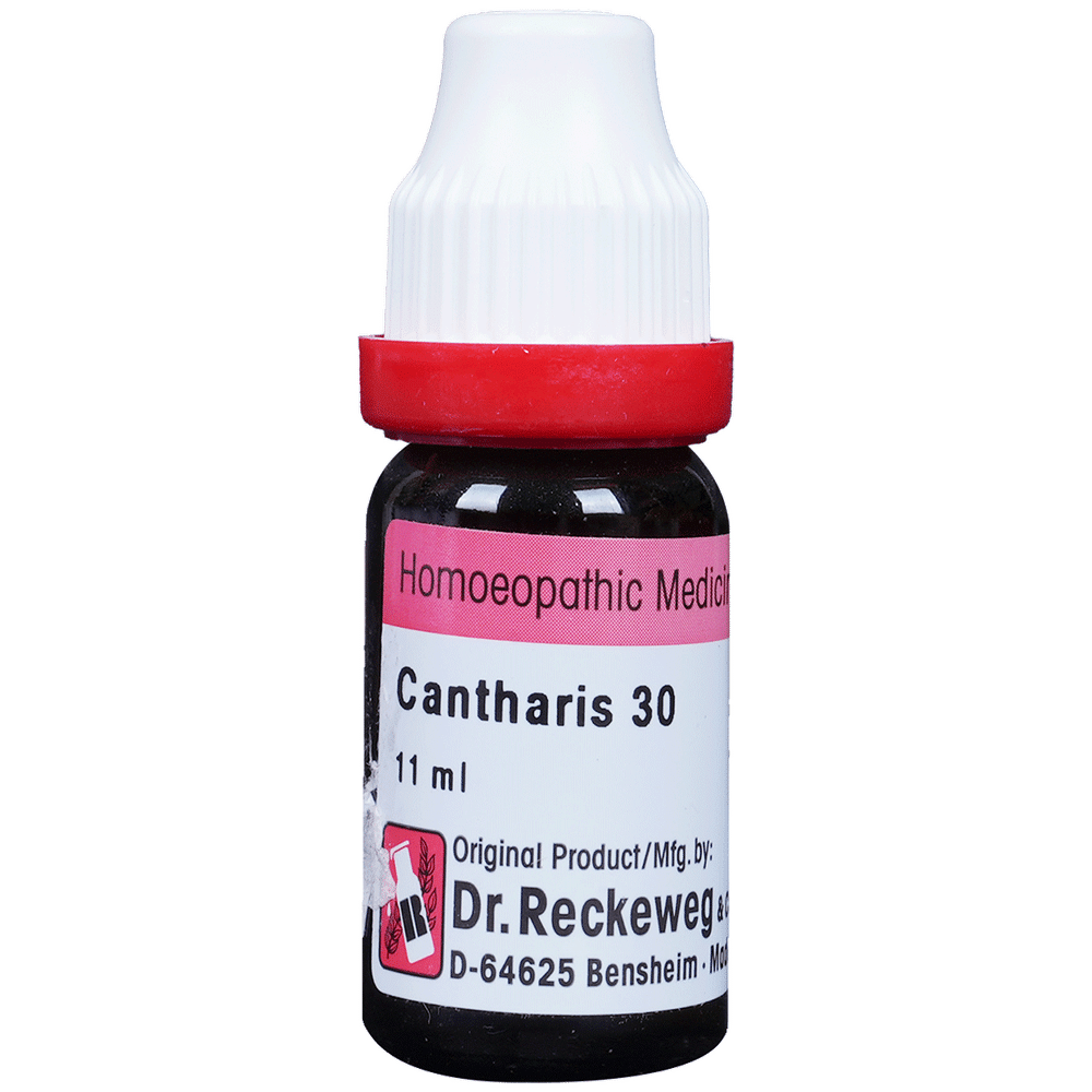 Dr. Reckeweg Cantharis Dilution 30 CH Dr. Reckeweg Cantharis Dilution 30 CH
