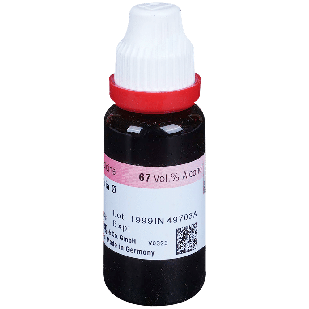 Dr. Reckeweg Baptisia Tinctoria Mother Tincture Q Dr. Reckeweg Baptisia Tinctoria Mother Tincture Q