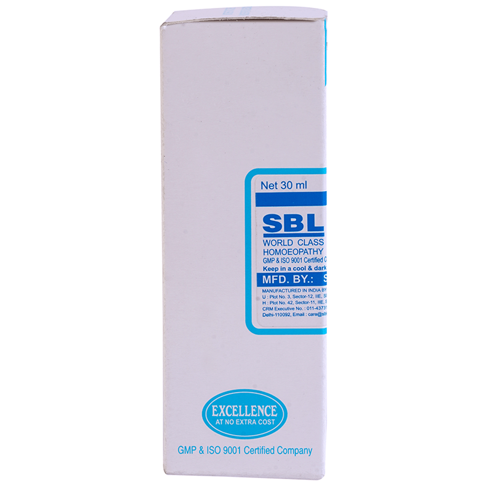 SBL Cardiospermum Helicacabum Mother Tincture Q SBL Cardiospermum Helicacabum Mother Tincture Q