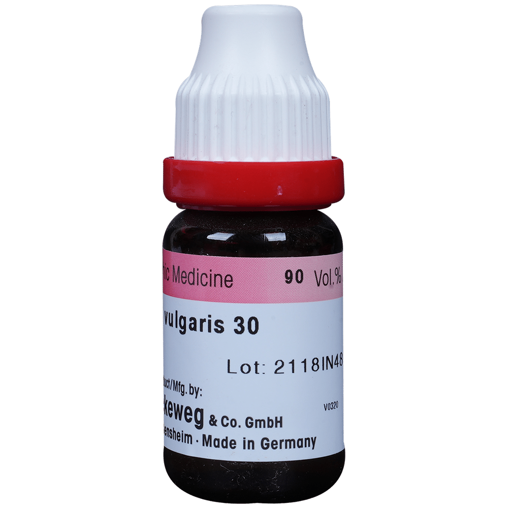Dr. Reckeweg Berberis Vul Dilution 30 CH Dr. Reckeweg Berberis Vul Dilution 30 CH