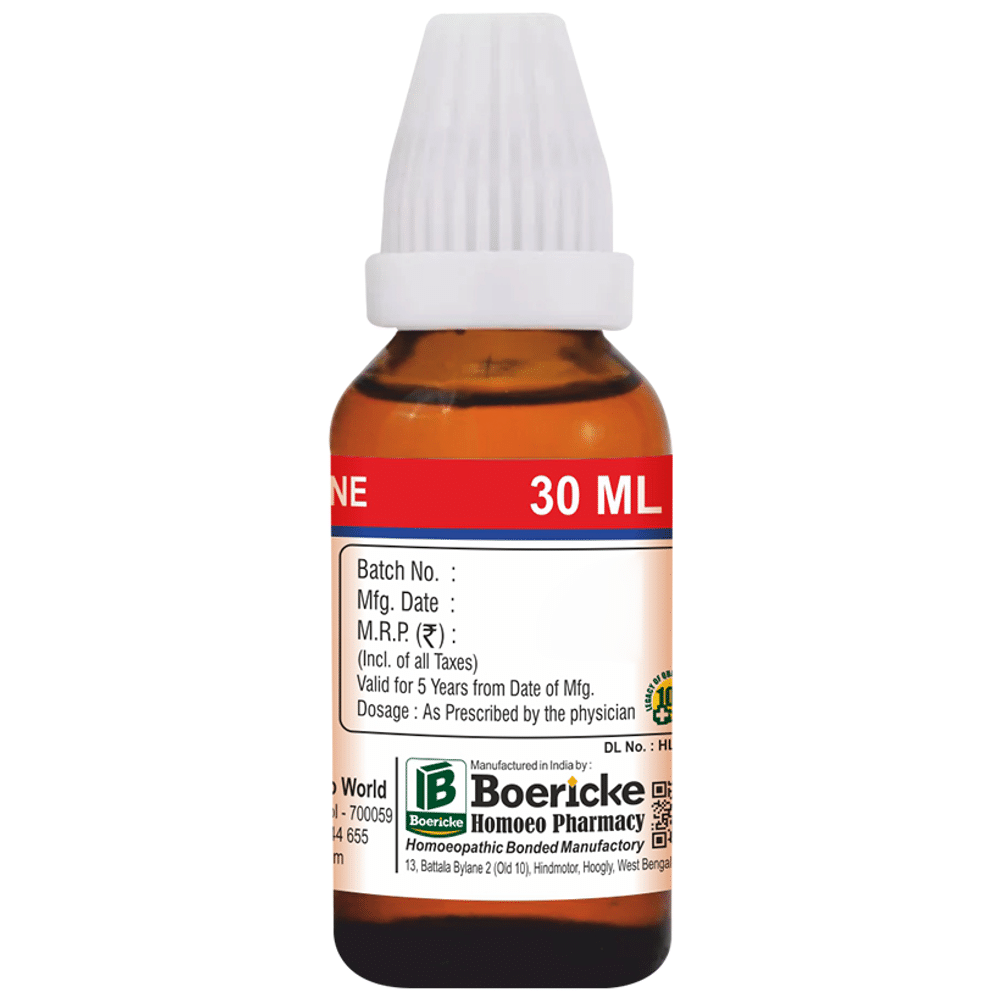 Dr. Majumder Homeo World Brahmi Dilution (30 ml Each) 3 CH Dr. Majumder Homeo World Brahmi Dilution (30 ml Each) 3 CH