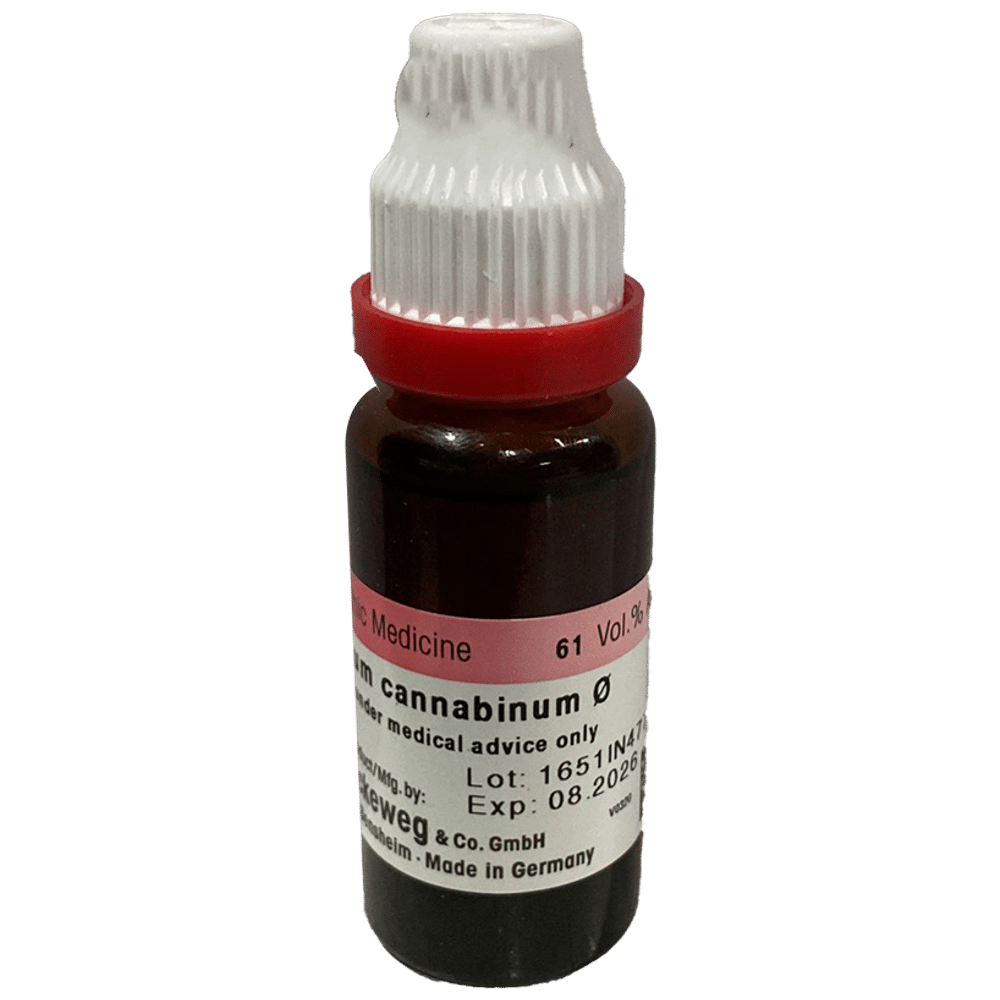 Dr. Reckeweg Apocynum Can Mother Tincture Q Dr. Reckeweg Apocynum Can Mother Tincture Q