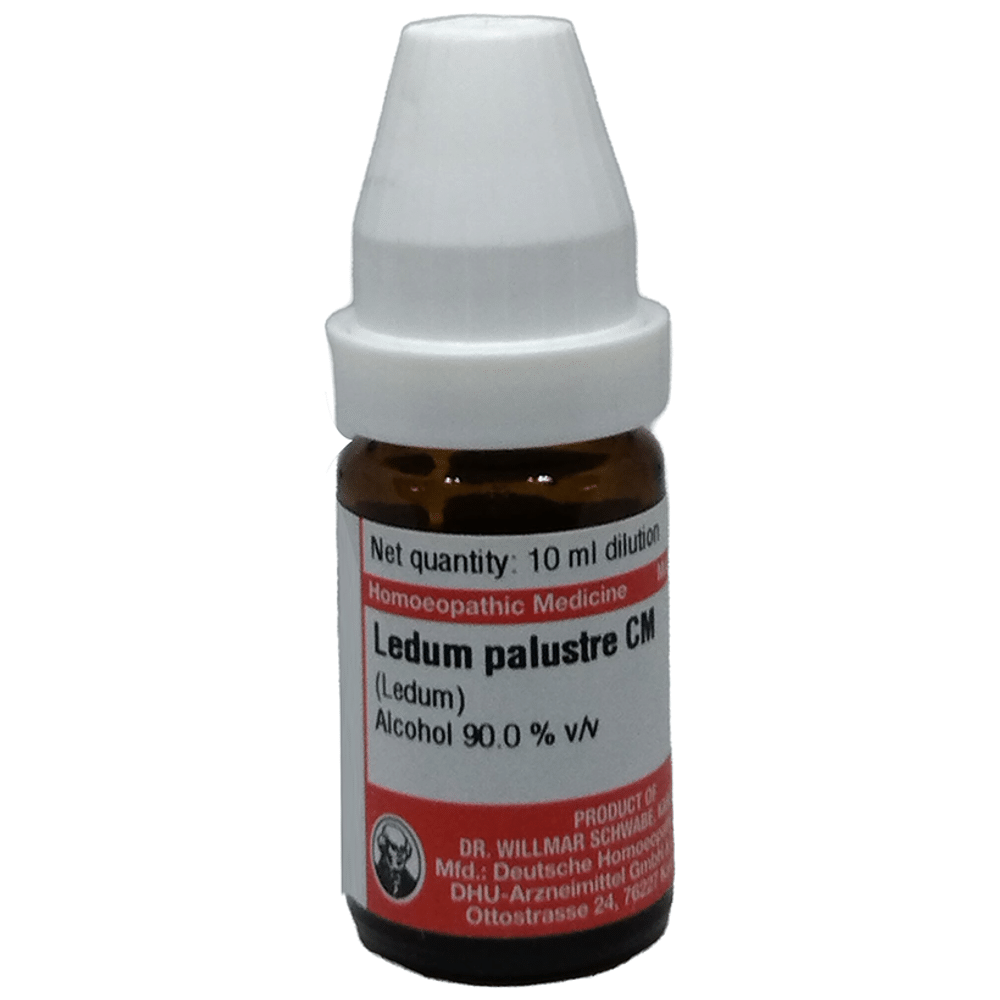 Dr Willmar Schwabe Germany Ledum Palustre Dilution CM Dr Willmar Schwabe Germany Ledum Palustre Dilution CM