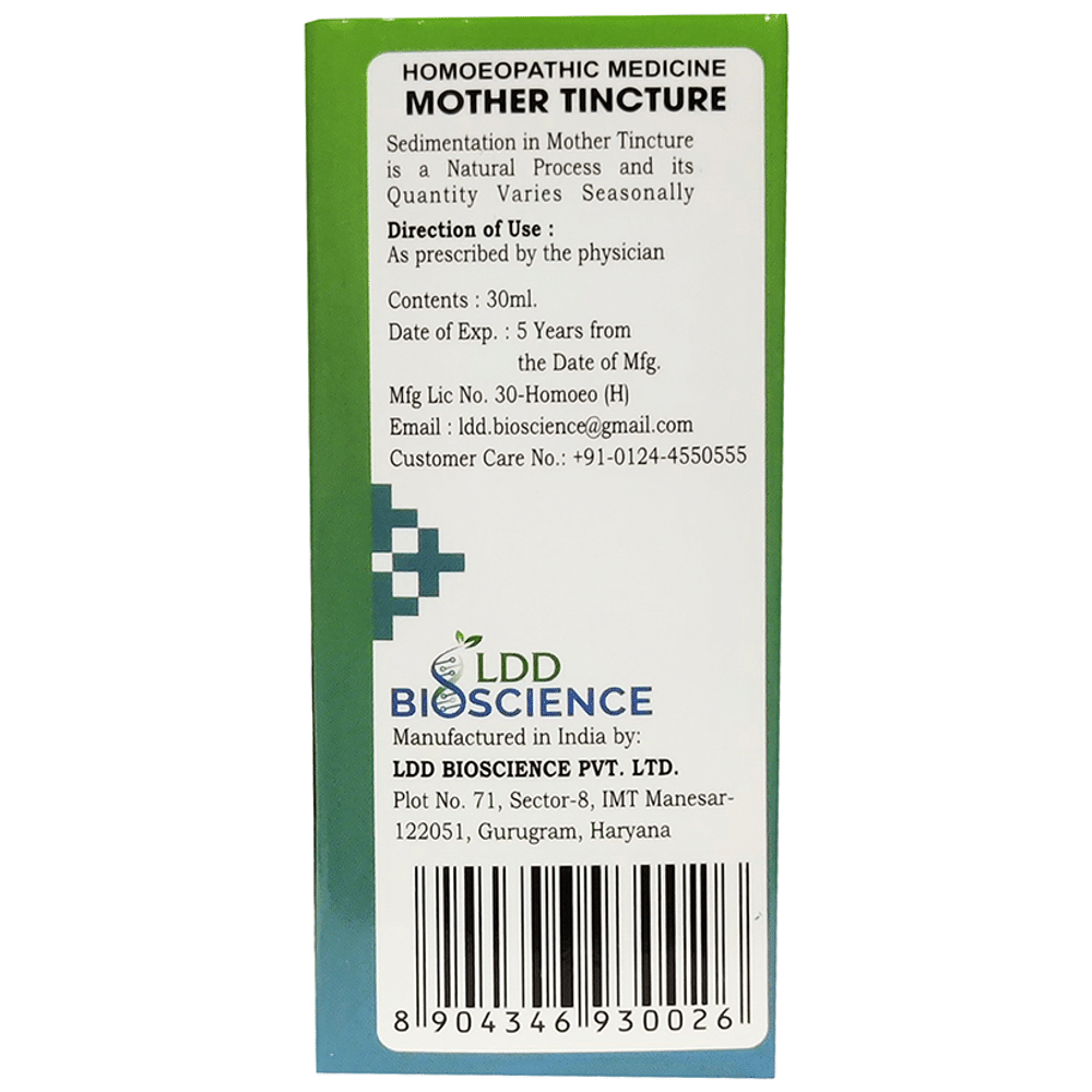LDD Bioscience Ocimum Canum Mother Tincture Q LDD Bioscience Ocimum Canum Mother Tincture Q
