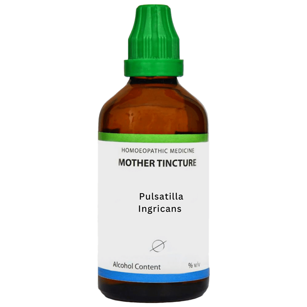 LDD Bioscience Pulsatilla Ingricans Mother Tincture Q LDD Bioscience Pulsatilla Ingricans Mother Tincture Q