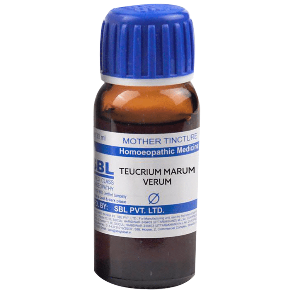 SBL Teucrium Marum Verum Mother Tincture Q