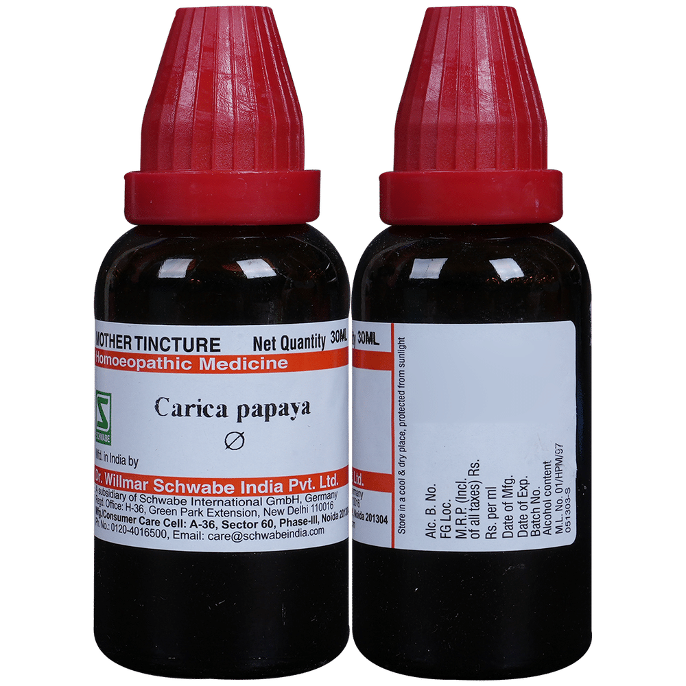 Dr Willmar Schwabe India Carica Papaya Mother Tincture Q Dr Willmar Schwabe India Carica Papaya Mother Tincture Q