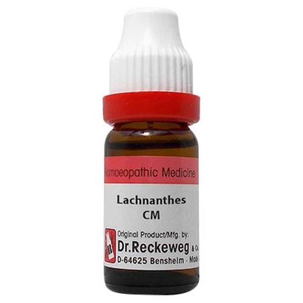 Dr. Reckeweg Lachnanthes Dilution CM CH Dr. Reckeweg Lachnanthes Dilution CM CH