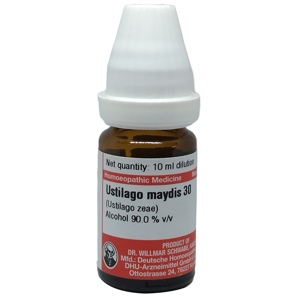 Dr Willmar Schwabe Germany Ustilago Maydis (Ustilago Zeae) Dilution 30 Dr Willmar Schwabe Germany Ustilago Maydis (Ustilago Zeae) Dilution 30