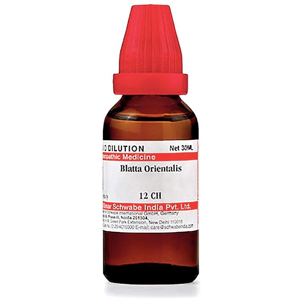Dr Willmar Schwabe India Blatta Orientalis Dilution 12 CH Dr Willmar Schwabe India Blatta Orientalis Dilution 12 CH