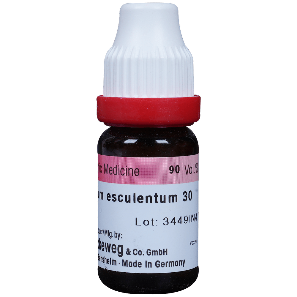 Dr. Reckeweg Fagopyrum Dilution 30 CH Dr. Reckeweg Fagopyrum Dilution 30 CH