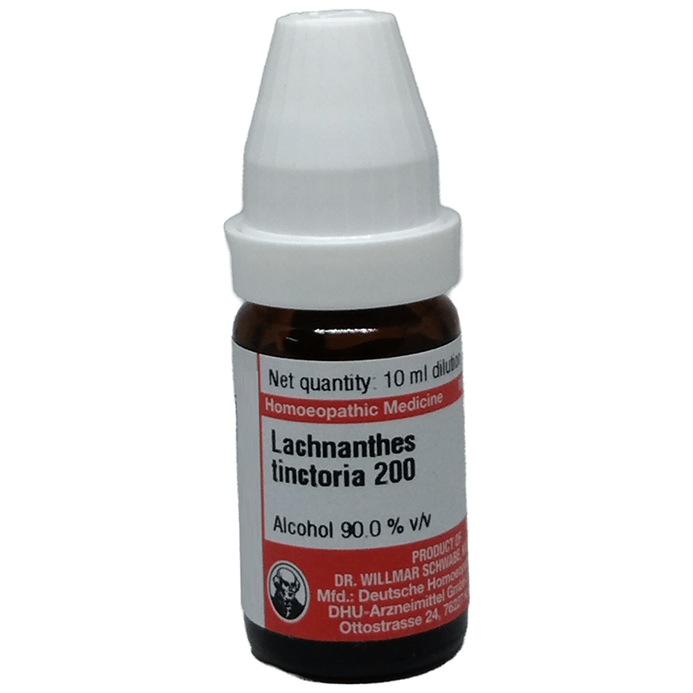 Dr Willmar Schwabe Germany Lacnanthes Tinctoria Dilution 200 Dr Willmar Schwabe Germany Lacnanthes Tinctoria Dilution 200