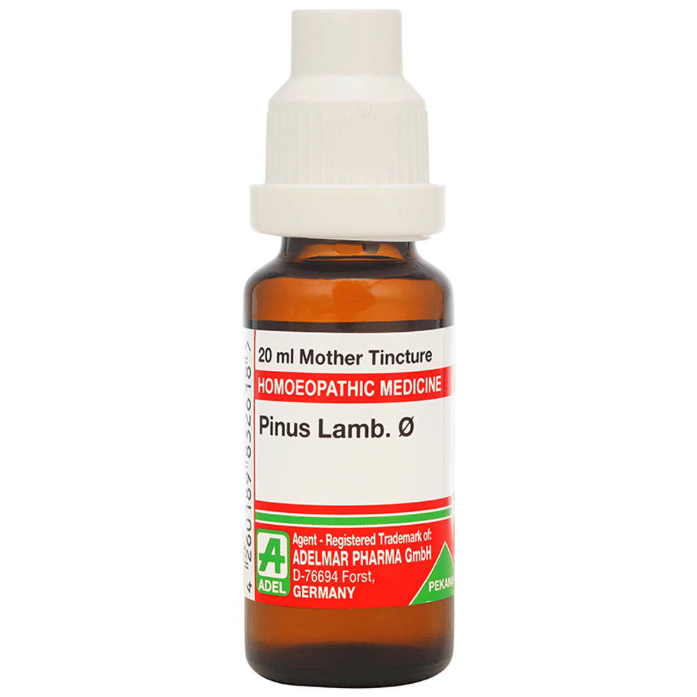 ADEL Pinus Lamb. Mother Tincture Q ADEL Pinus Lamb. Mother Tincture Q