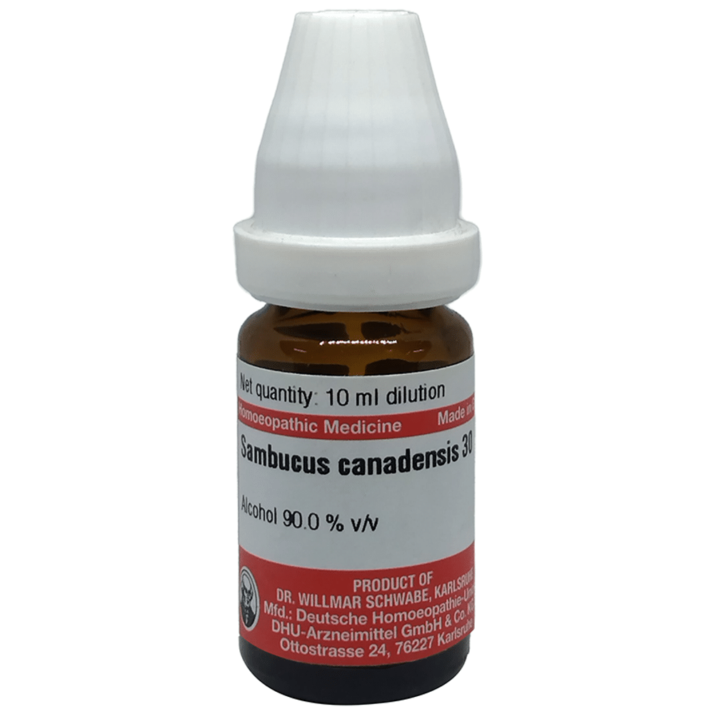 Dr Willmar Schwabe Germany Sambucus Canadensis Dilution 30 Dr Willmar Schwabe Germany Sambucus Canadensis Dilution 30