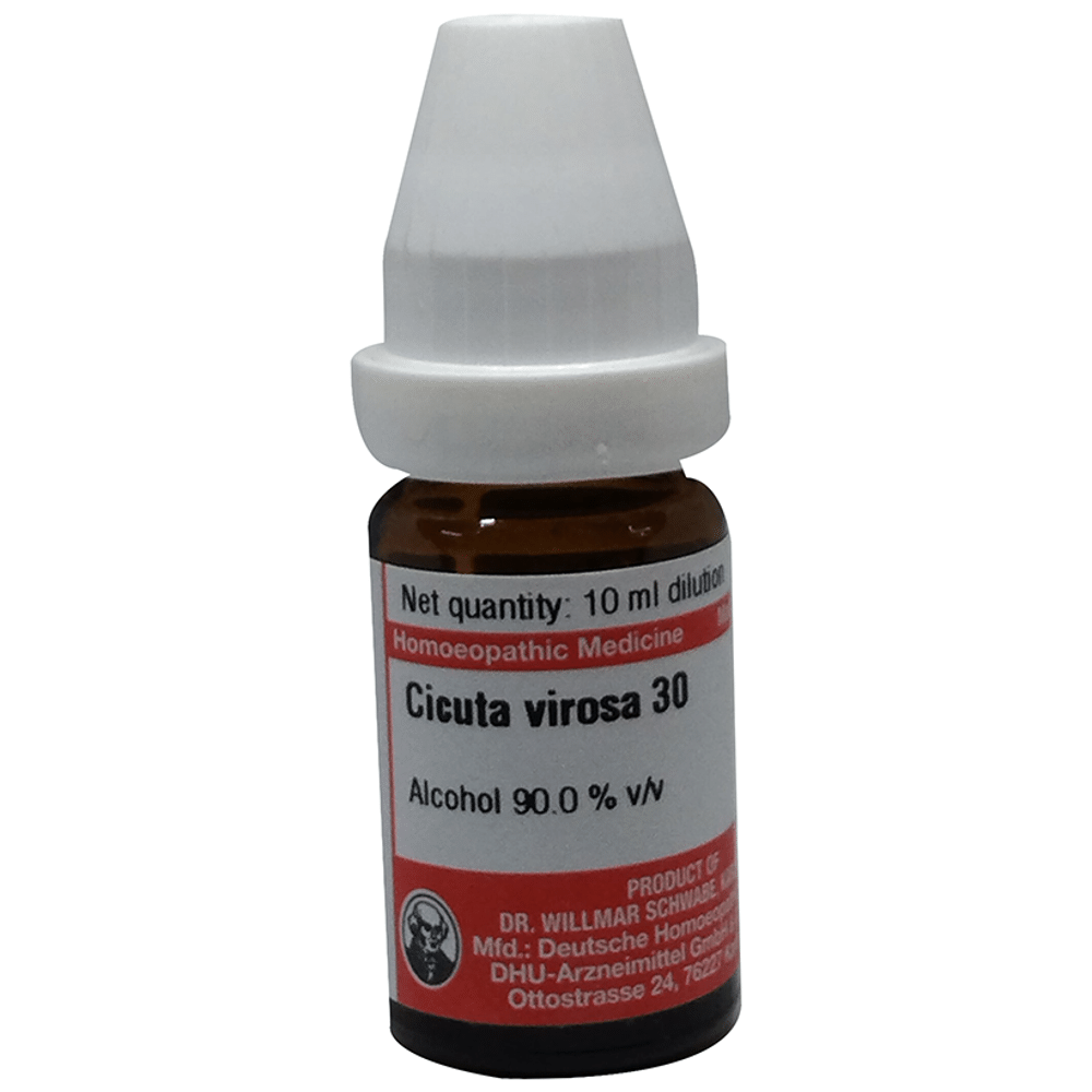 Dr Willmar Schwabe Germany Cicuta Virosa Dilution 30 Dr Willmar Schwabe Germany Cicuta Virosa Dilution 30