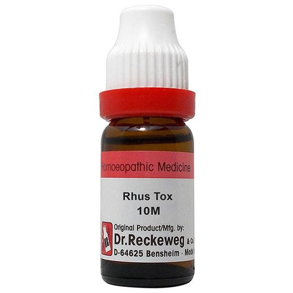 Dr. Reckeweg Rhus Tox Dilution 10M CH Dr. Reckeweg Rhus Tox Dilution 10M CH