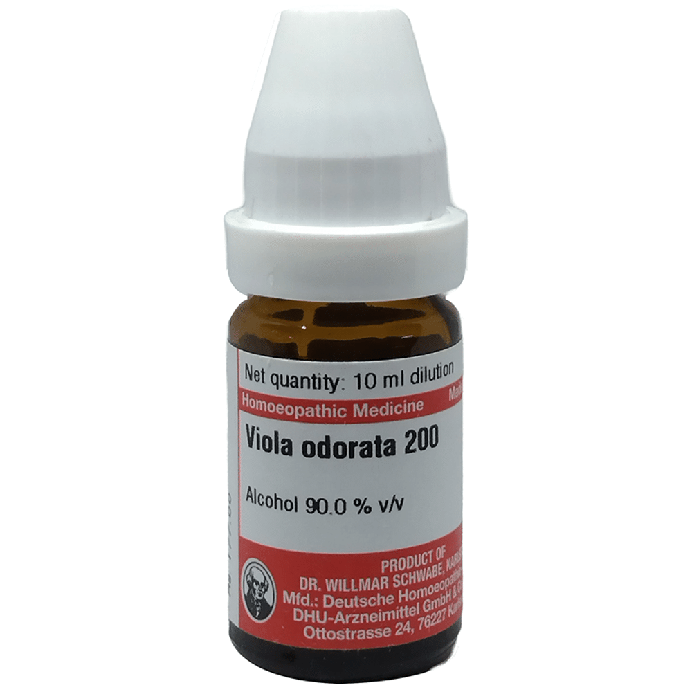 Dr Willmar Schwabe Germany Viola Odorata Dilution 200 Dr Willmar Schwabe Germany Viola Odorata Dilution 200