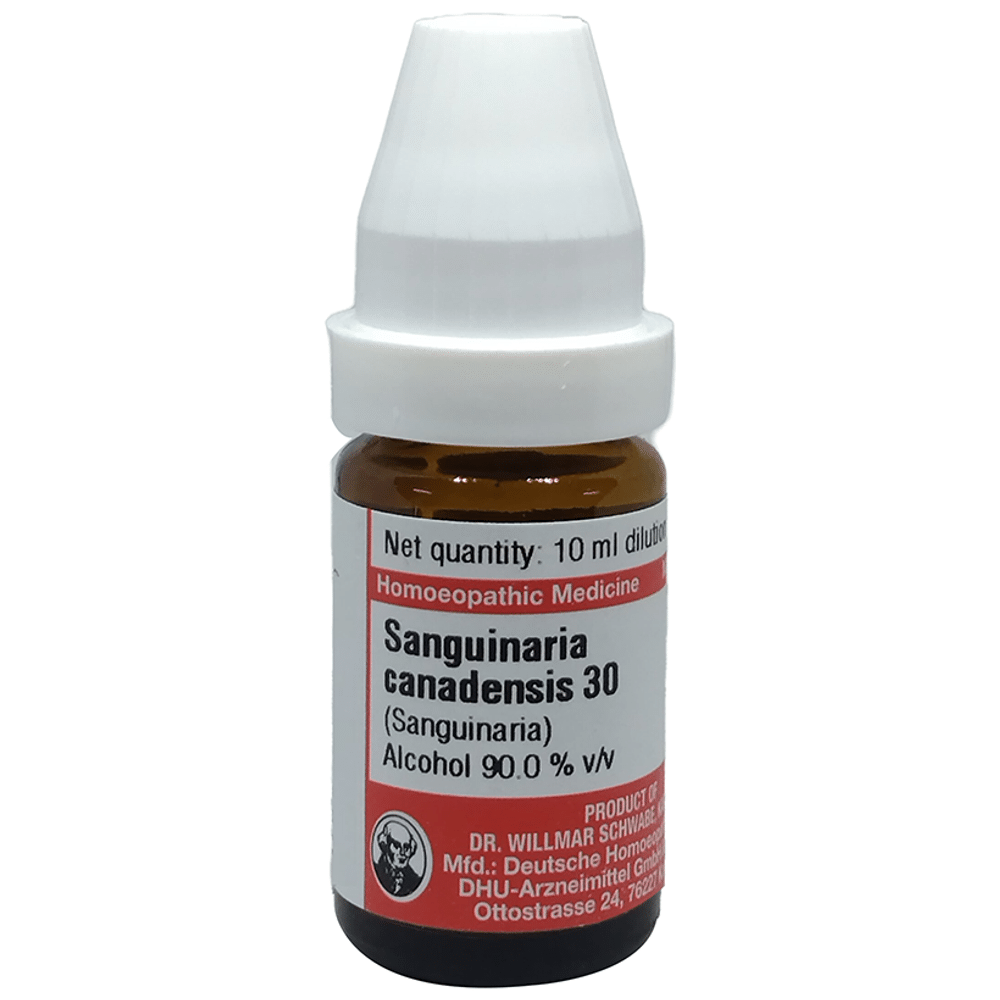 Dr Willmar Schwabe Germany Sanguinaria Canadenis Dilution 30 Dr Willmar Schwabe Germany Sanguinaria Canadenis Dilution 30