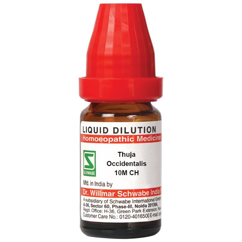 Dr Willmar Schwabe India Thuja Occidentalis Dilution 10M CH Dr Willmar Schwabe India Thuja Occidentalis Dilution 10M CH